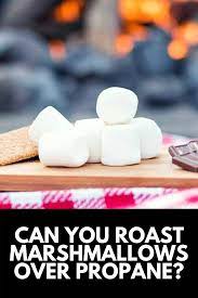 Can You Roast Marshmallows Over A Propane Fire Pit Propane Fire Pit Roasting Marshmallows Propane