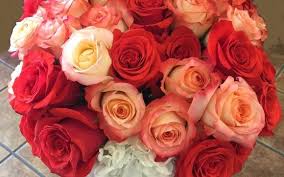Visit your local las vegas, nv dollar tree location. After Hours Flowers 24 7 Las Vegas Nv Alignable