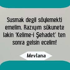 Emine Adli Kullanicinin Ask I Mevlana Panosundaki Pin Ozlu Sozler Alintilar Psikolojik Gercekler