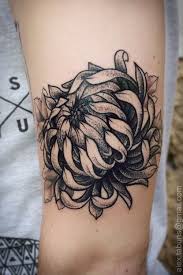 Black And Grey Flower Tattoos Black And Grey Chrysanthemum Tattoo Chrysanthemum Tattoo Tattoos Sleeve Tattoos