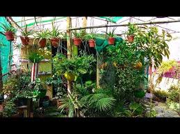 Ab Mera Garden Ban Raha Hai Ik Vegetable Garden Summer Ka Cool Plan Ao Ar Livre
