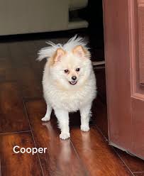 Aaron verma (@aaron.verma)