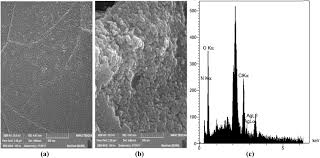 Application of carboxylic acid-functionalized of graphene oxide for  electrochemical simultaneous determination of tryptophan and tyrosine in  milk