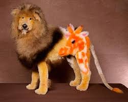 Extreme Poodles Debuts Sunday On Tlc Features Mechanicsburg Company Poodle Dog Dog Groomers Dog Grooming