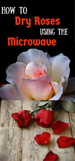 Jun 21, 2019 · drying flowers to preserve them has been a homesteading tradition going back hundreds of years. How To Dry Roses Using The Microwave Aspiring Homemaker Dried Flowers Diy How To Preserve Flowers Paper Flowers