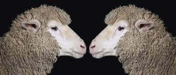 Rise of the Clones: 7 ways cloning is already happening | BBC Science Focus  Magazine