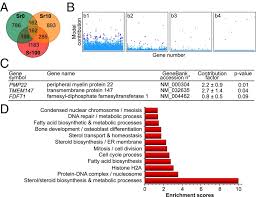 Maybe you would like to learn more about one of these? Sparse Feature Selection Methods Identify Unexpected Global Cellular Response To Strontium Containing Materials Abstract Europe Pmc