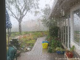 Late To The Garden Party Rain Effects