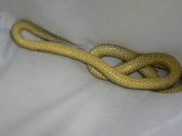 A dugite a local snake found in our bushland and although venomous is not responsible for many deaths in fact considering australia has most of the top 10 most venomous snakes there are few. Snake Removal Express Wildlife Rescue