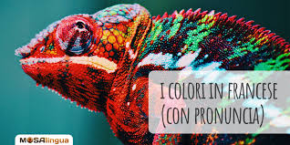 La curva dei tuoi occhi intorno al cuore. Colori In Francese Pronuncia E Frasi Idiomatiche Con Video