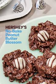 No Bake Peanut Butter Blossom Recipe Hershey S Kitchens Recipe Baking Recipes Cookies Dessert Recipes Easy Cookie Recipes