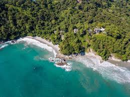 Costa rica tropical rainforests are also characterized by the diverse and numerous animal species found there. Arenas Del Mar Beachfront Rainforest Resort Updated 2021 Prices Reviews Costa Rica Manuel Antonio Tripadvisor
