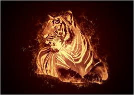 Check spelling or type a new query. Fire Tiger By Meathix On Deviantart