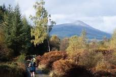 Aberfoyle Festival of Trail Running