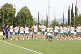 FIGC - News update