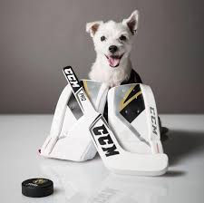 Bryant park is situated behind the new york public library in midtown manhattan, between 40th and 42nd streets & fifth and sixth avenues. Bark Andre Furry Receives Therapy Dog Certification Kicks Off Charitable Collaboration With Win Win Entertainment For First Hospital Visit Nevada Business Magazine