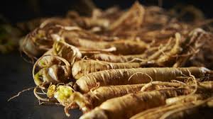 Ginseng), south china ginseng (p. Ginseng Its Benefits For The Immune System And Cognition