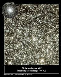 Image result for Scleria globonux