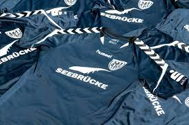This free logos design of sv babelsberg 03 logo ai has been published by pnglogos.com. Seebrucke Auf Den Trikots Des Sv Babelsberg 03 Babelsberg 03