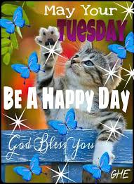 This motivation happy tuesday quotes, captions and messages can help you focus on things you should and ignore the rest to perfectly inspire, encourage you. Tuesday Quotes Tuesday Blessings Quotesstory Com Leading Quotes Magazine Find Best Quotes Collection With Inspirational Motivational And Wise Quotations On What Is Best And Being The Best