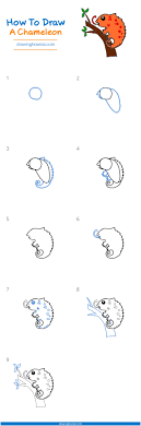 Check spelling or type a new query. How To Draw A Chameleon Step By Step Easy Drawing Guides Drawing Howtos
