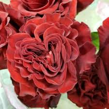 Preserved roses can last up to 3 years and inevitably will retain some dust. Rose Care And Handling Dreisbach Wholesale Florists