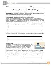 Over 400 gizmos aligned to the latest standards help educators bring powerful new learning experiences to the download gizmo student exploration building dna answer key book pdf dna molecules have instructions for. Dnaprofilingse Completed Docx Name Date Student Exploration Dna Profiling Vocabulary Dna Polymerase Dna Profiling Gel Electrophoresis Gene Mutation Course Hero