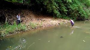 Mimpi ikan lepas dari tangan. Arti Mimpi Menangkap Ikan Dengan Tangan Kosong