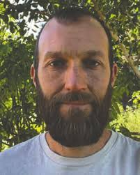 Dog shot by arrow, killed