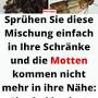 Profile Picture of Mandy Kellermann (mandykellermann11) - Profile (@pinterest.com) on Google