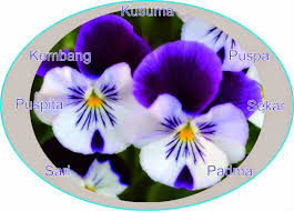 We did not find results for: Tembung Dasanama Uwong Jawa