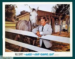 22 The Horse in the Gray Flannel Suit // 1968 ideas | flannel suit, grey  flannel, flannel
