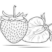 26 gambar mewarnai terbaru untuk anak. 18 Ide Buah Buahan Buah Warna Buku Mewarnai