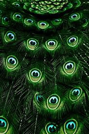 Amazing Travel Pictures Emerald Green Green Aesthetic Green Gemstones