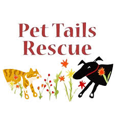 See more ideas about puppies, forever family, pets. Cat Adoption Application Pet Tails Rescue