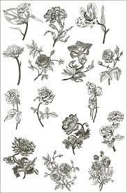 Nocturnal Flowers Vintage Flowers Tattoos Flower Drawing