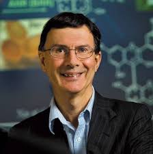 Role: Adjunct and Joint