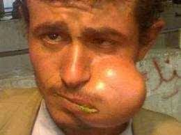 الباحثون السوريون Syrian Researchers