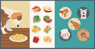 The healthiest foods for humans are almost always the ones we prepare fresh at home, so why would it be any different for our pets? Homemade Healthy Dog Treats Fix Com