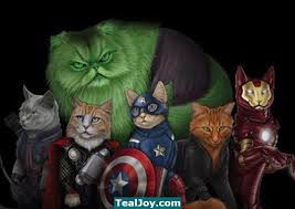 Avenger Cats Jenny Park Comic Book Superheroes Super Cat