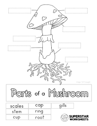 Mushroom Life Cycle Worksheets In 2020 Free Science Worksheets Science Worksheets Stuffed Mushrooms
