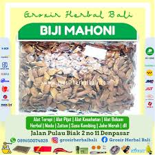 Buah tunjuk langit telah mendapat perhatian di mata dunia sejak kebelakangan ini setelah banyak kajian bioteknologi yang dijalankan menemui pelbagai kebaikan yang boleh diperolehi daripada buah tersebut. Toko Jual Biji Mahoni Sky Fruit Skyfruit Buah Tunjuk Langit Xiang Tian Guo Home Facebook
