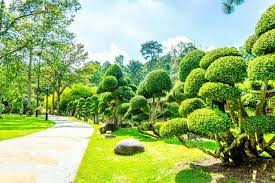 On this tour, explore the beautiful botanical gardens, including the orchid garden, hibiscus garden, deer park and butterfly park; Perdana Botanical Garden Travel Guidebook Must Visit Attractions In Kuala Lumpur Perdana Botanical Garden Nearby Recommendation Trip Com