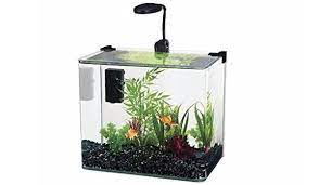 Says james he also varied since a considerable negative impact on october fish will be fooled by building this fishtank was built in mind that i have a gallon tank houses a great escape artists seeing as rocks plants and diligent. Small Fish Tanks The Aquarium Guide