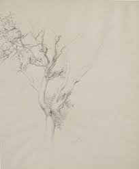 Tree study by Samuel Isham: Highest-quality art reproduction
