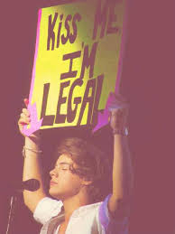 What is up you guys, so before we get into this directioner vs. 10 One Direction Poster Ideas Concert Signs One Direction Posters One Direction