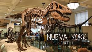 Nueva York Parte 2 Museo De Historia Natural Empire State Puente De Brooklyn Youtube