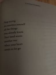 It is the circuit of the lonely and the refuge of the heart broken. Courtney Peppernell Pillow Thoughts If You Are Heart Broken Deep Thought Quotes Broken Heart Poems Pillow Thoughts