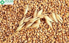 Đan mạch được mệnh danh là quốc gia hạnh phúc nhất trên thế giới, bài viết này giúp bạn tìm hiểu sâu về văn hóa và phong cách sống hygge. Lua Máº¡ch La Gi Lá»£i Ich Cá»§a Lua Máº¡ch Ä'á»'i Vá»›i Sá»©c Khá»e Cáº§n LÆ°u Y