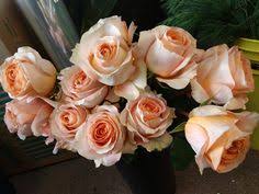 We did not find results for: 14 Hannah S Favorite Flowers Ideas Flowers Floral Floral Preservation